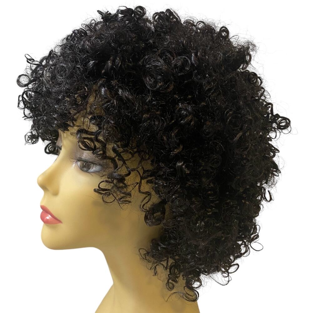 ASHRO Human Hair Wig Katrina Kinky Curly Locs Jet Black for Women Avg Size NWT